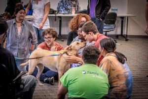 Students petting a therapy dog