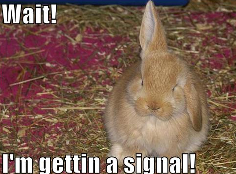 Wireless Association-Getting a Signal