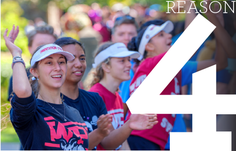 REason 4 Bridge Crossing