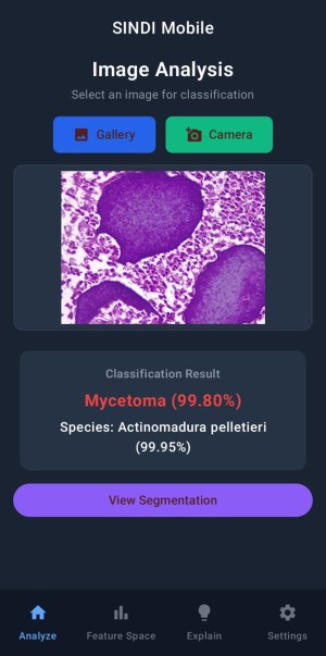 Microscopic image of a cell appears on a mobile app using AI
