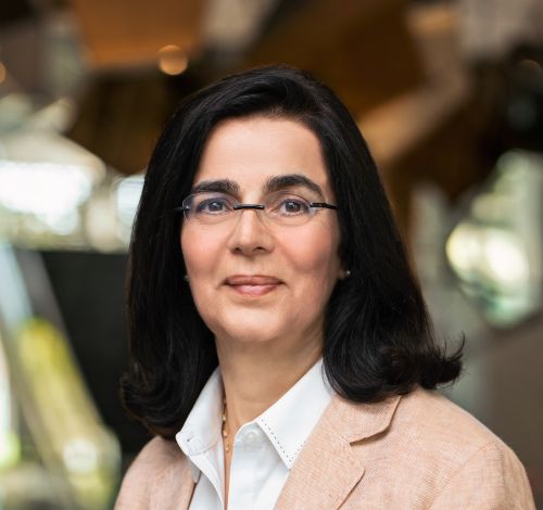 Professor Lydia Kavraki