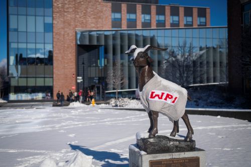 Goat statue covered in snow on the head and wearing a WPI sweater