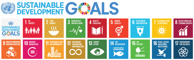 UN SDGs