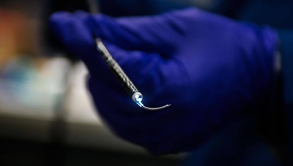 Hand holding a curved wire.
