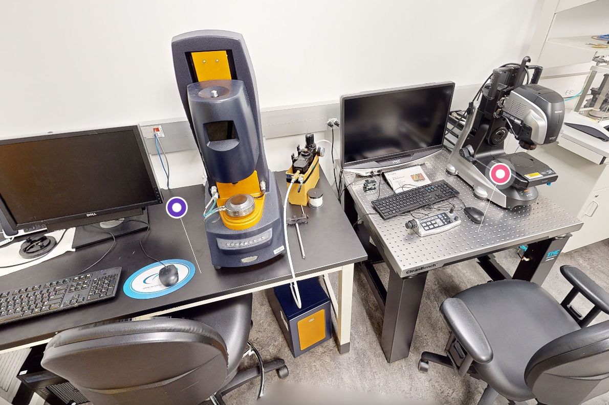 lab