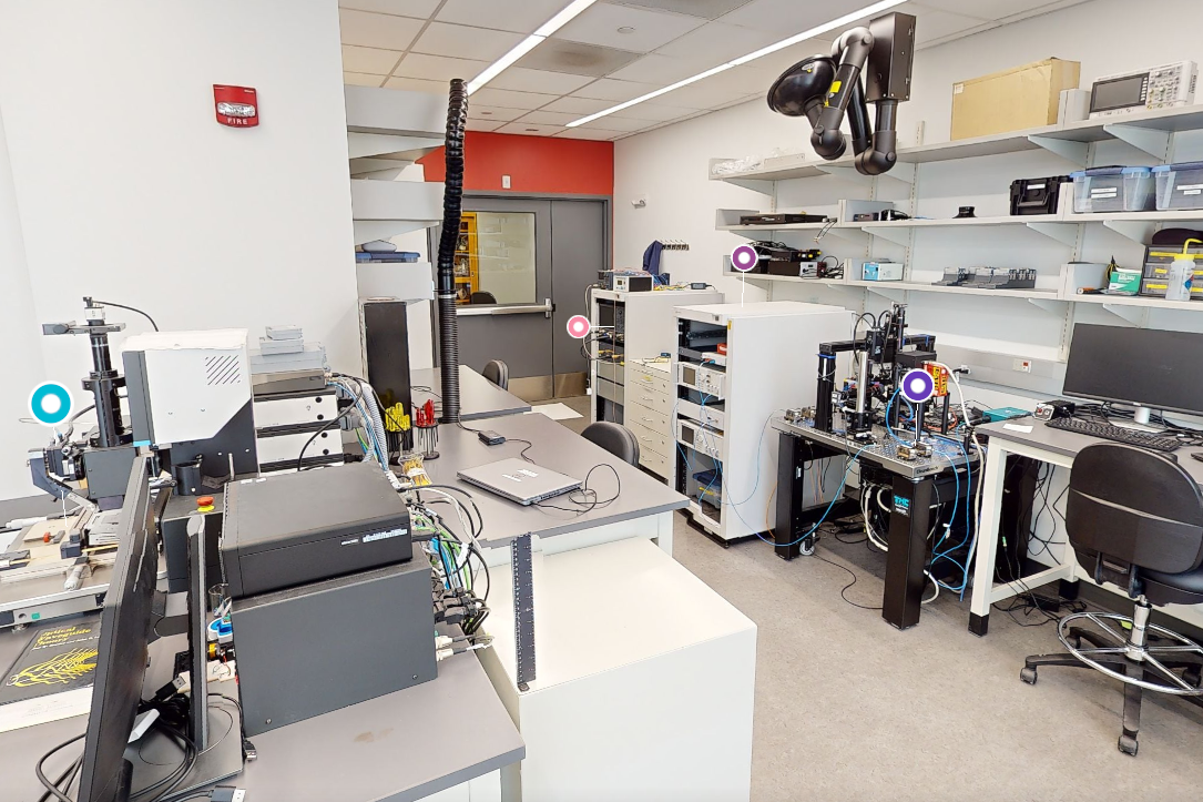 lab