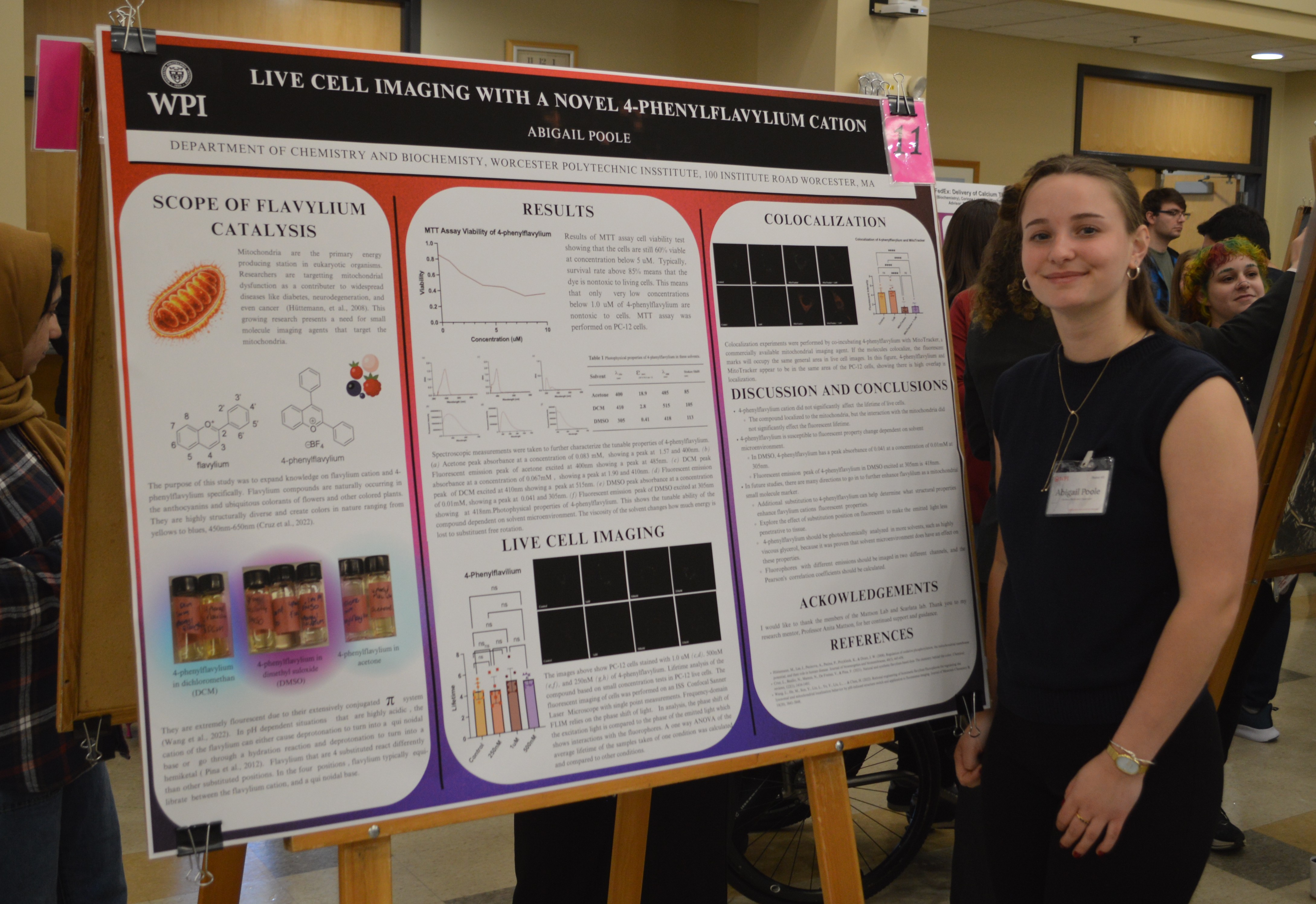 MQP Student Projects