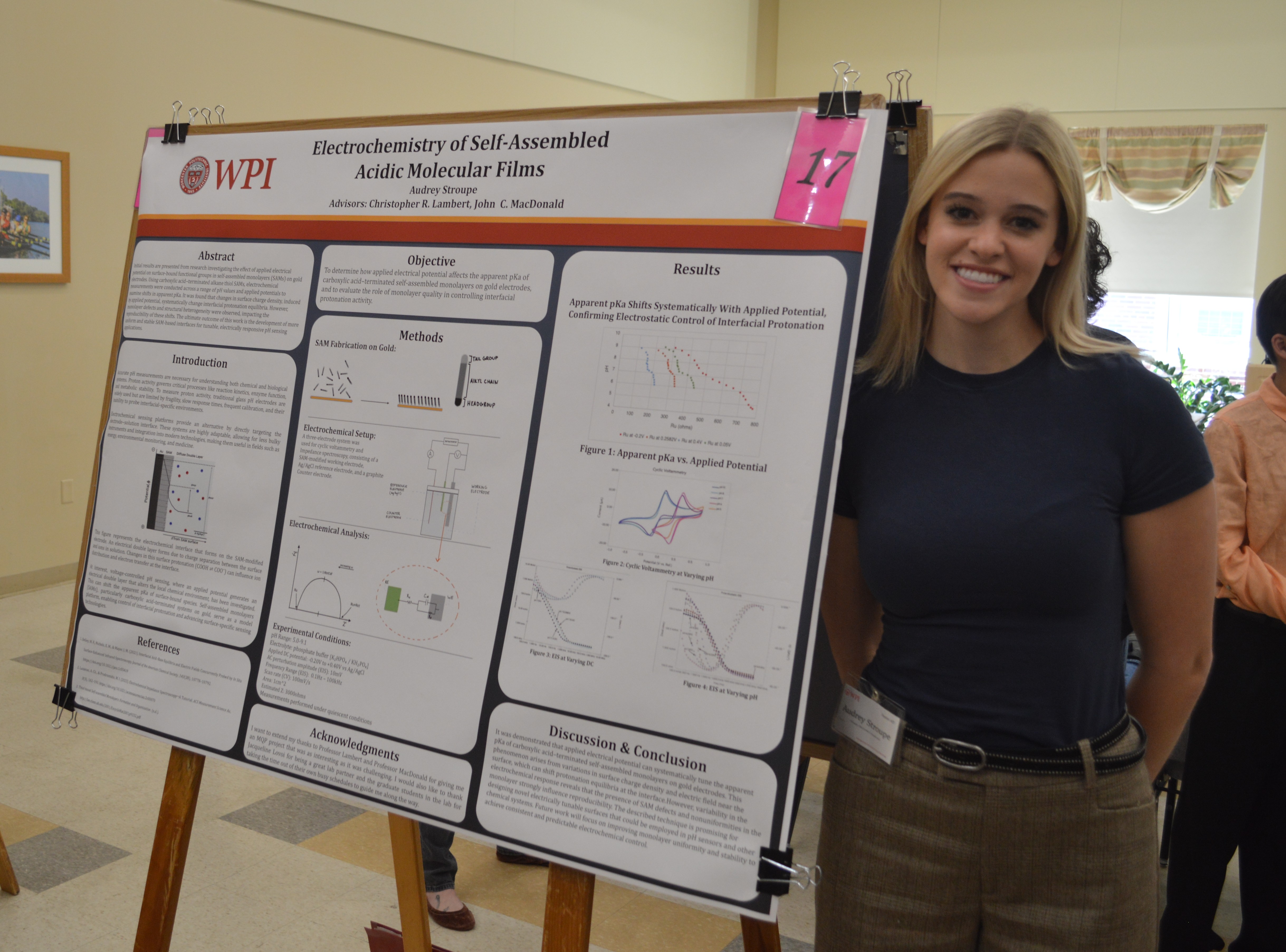 MQP Student Projects