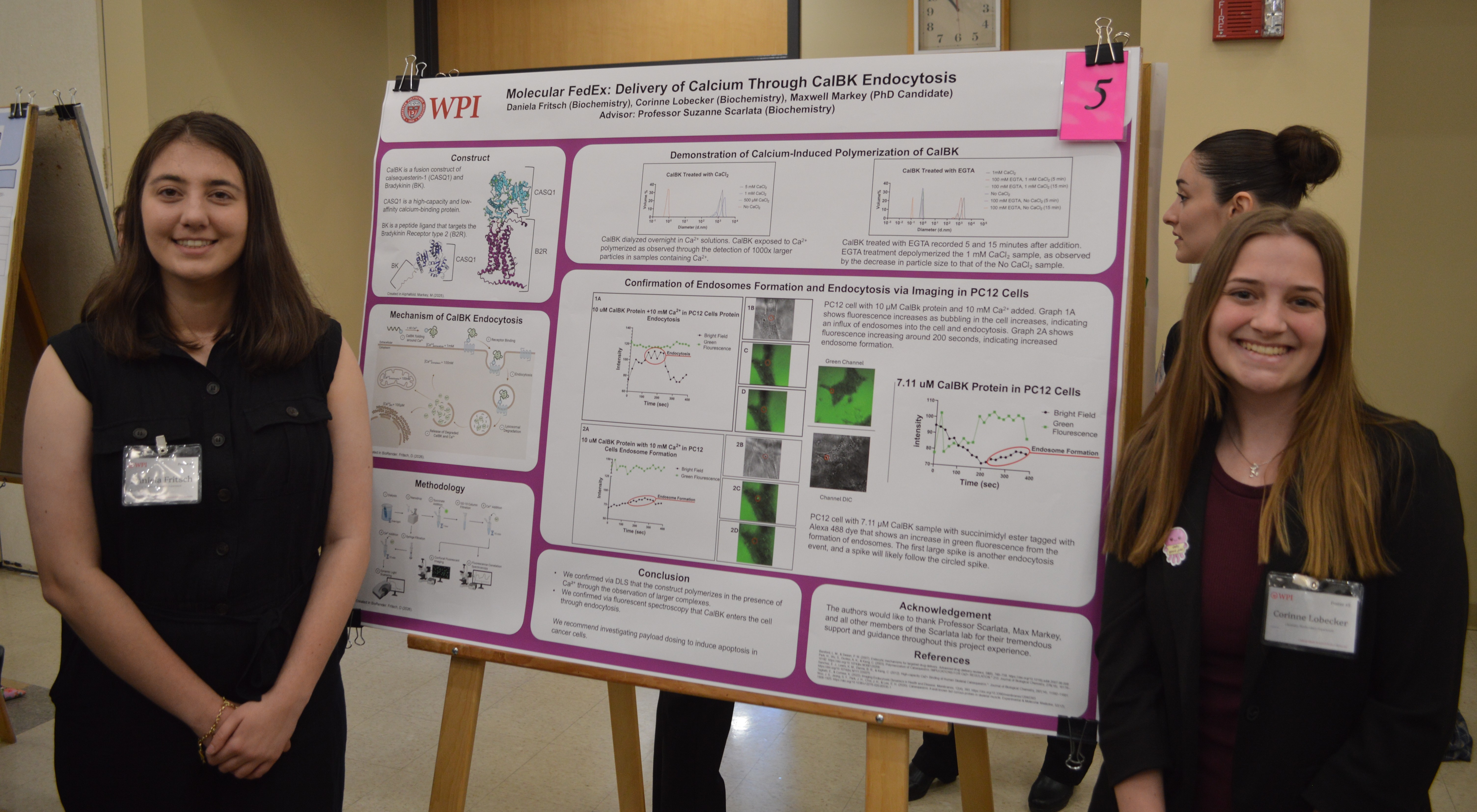 MQP Student Projects