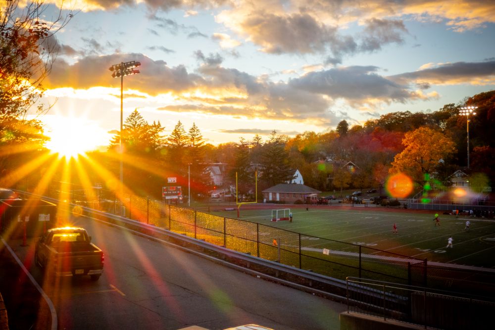 sunset over the field