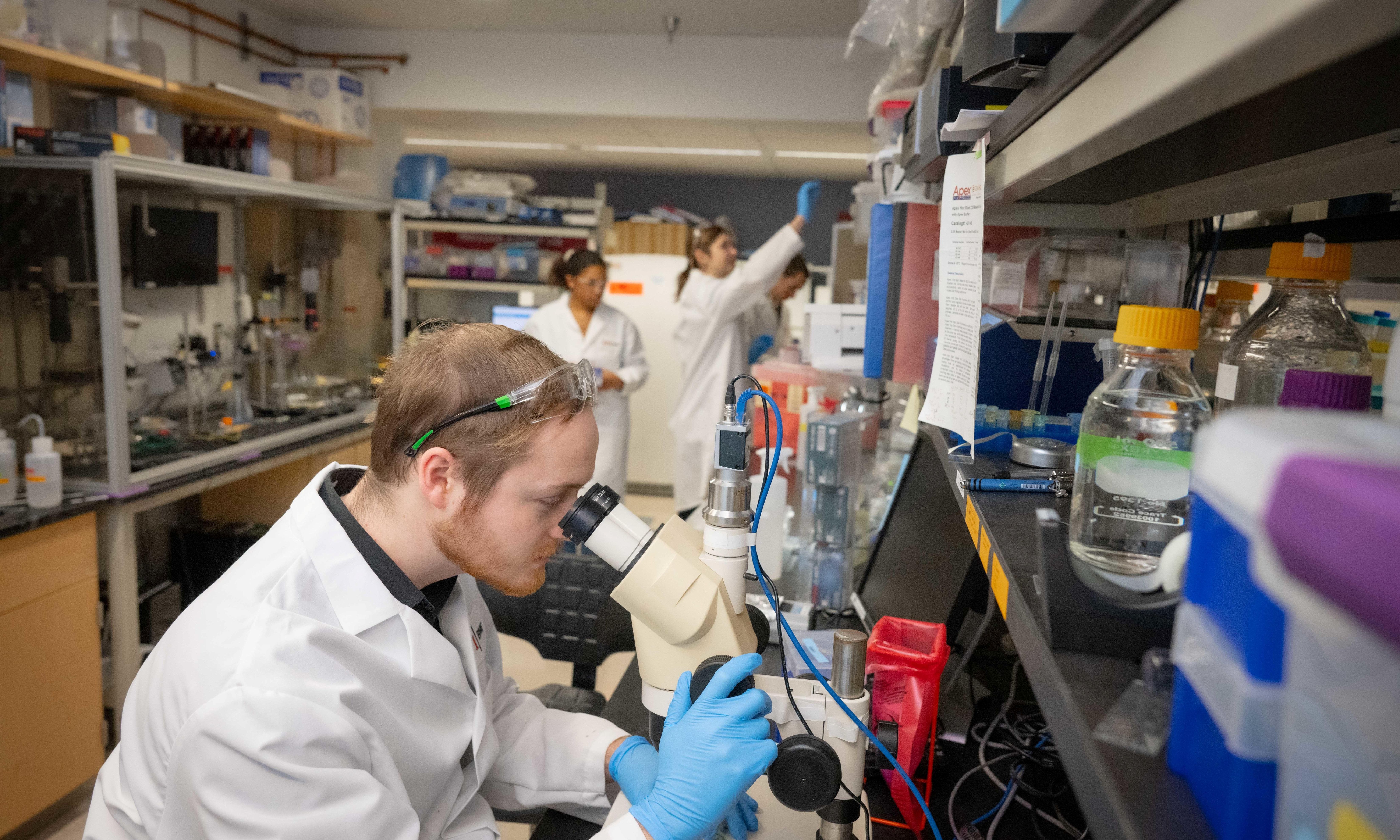 people in a lab with microscope