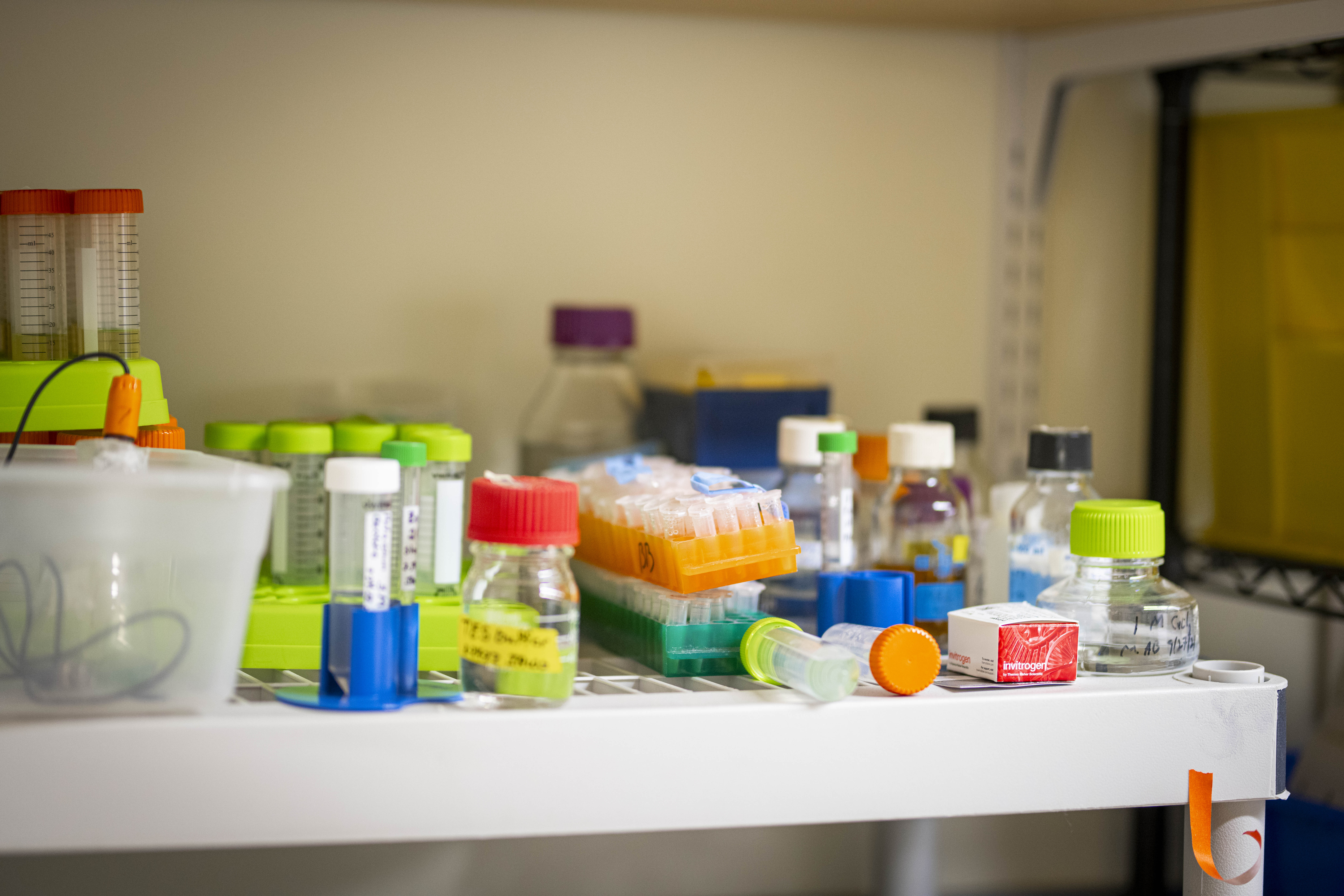 biology samples