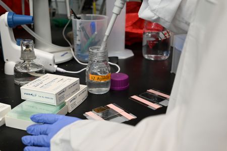 hands preparing a microscope slide on a laboratory counter