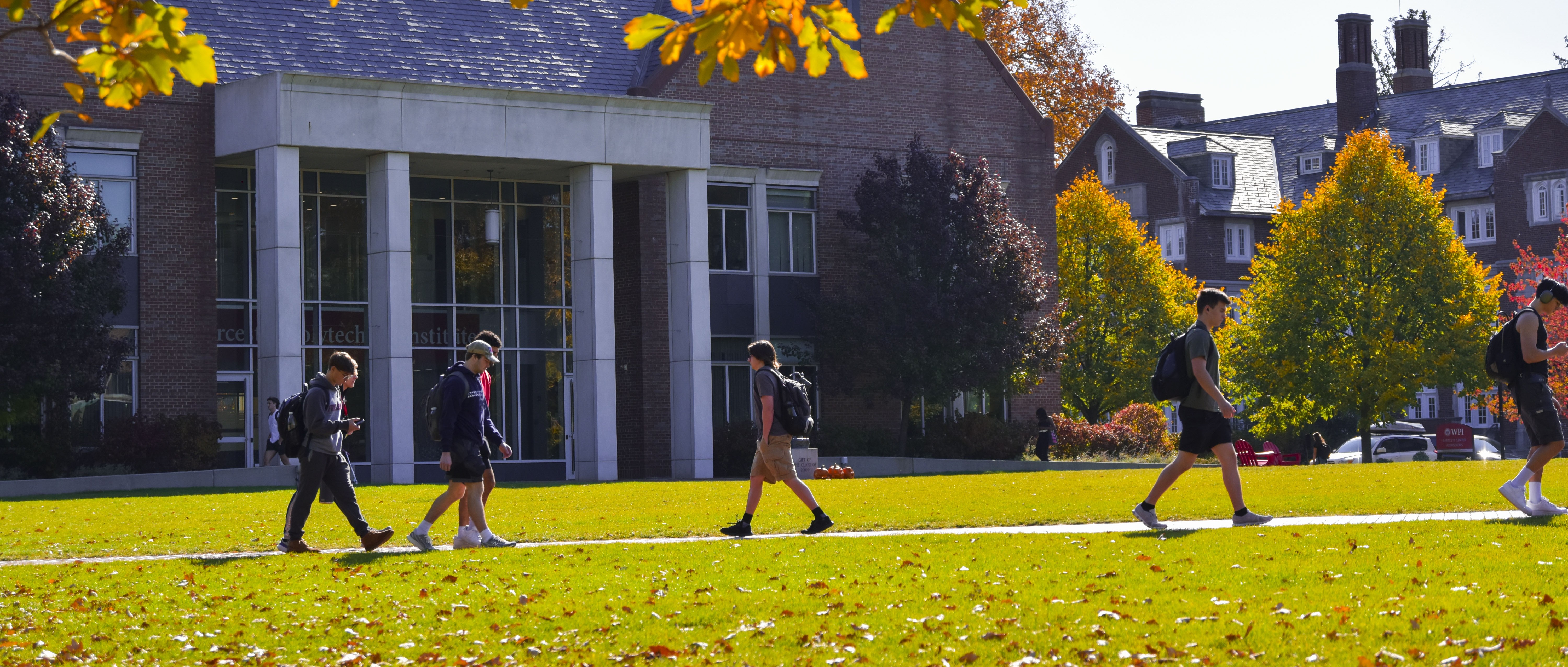 trees and grass on campus