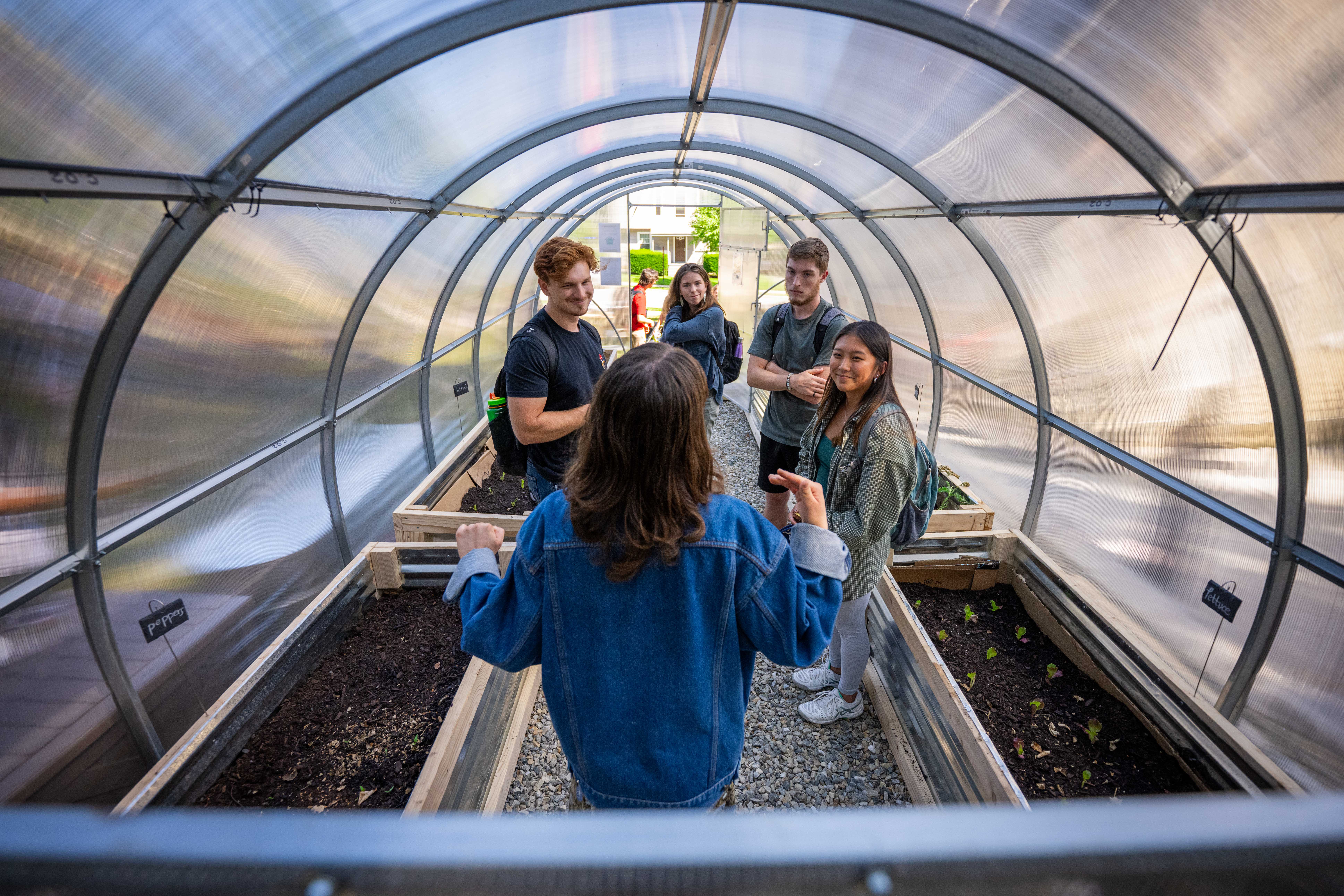 Greenhouse