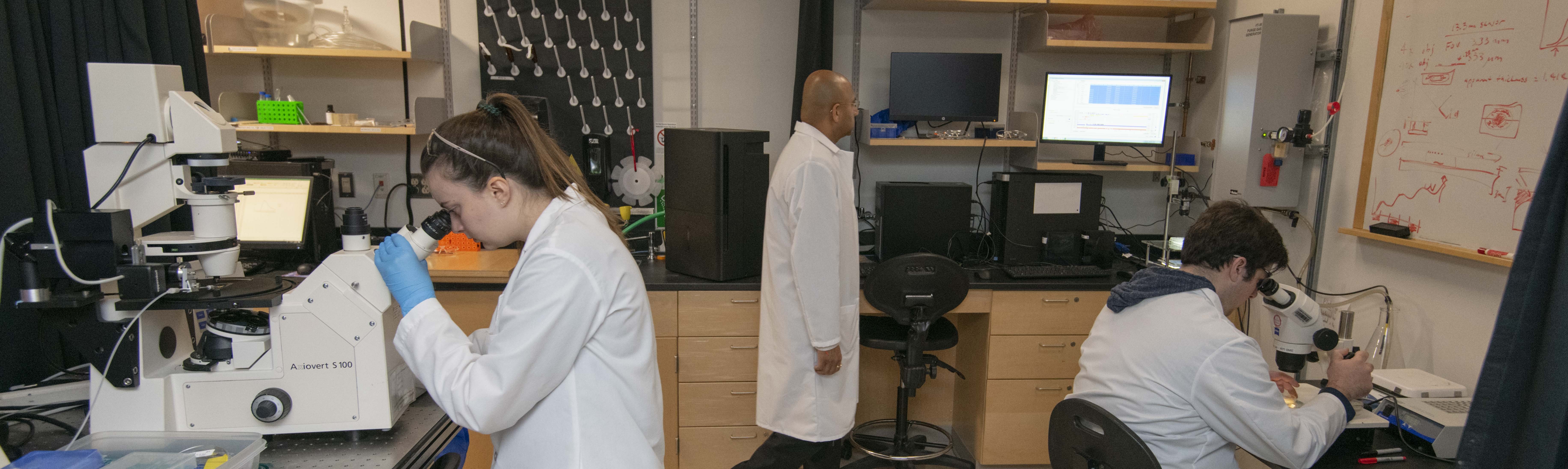 people in a lab