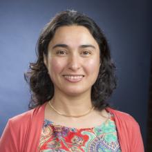 Ulkuhan Guler, Professor, ECE Department
