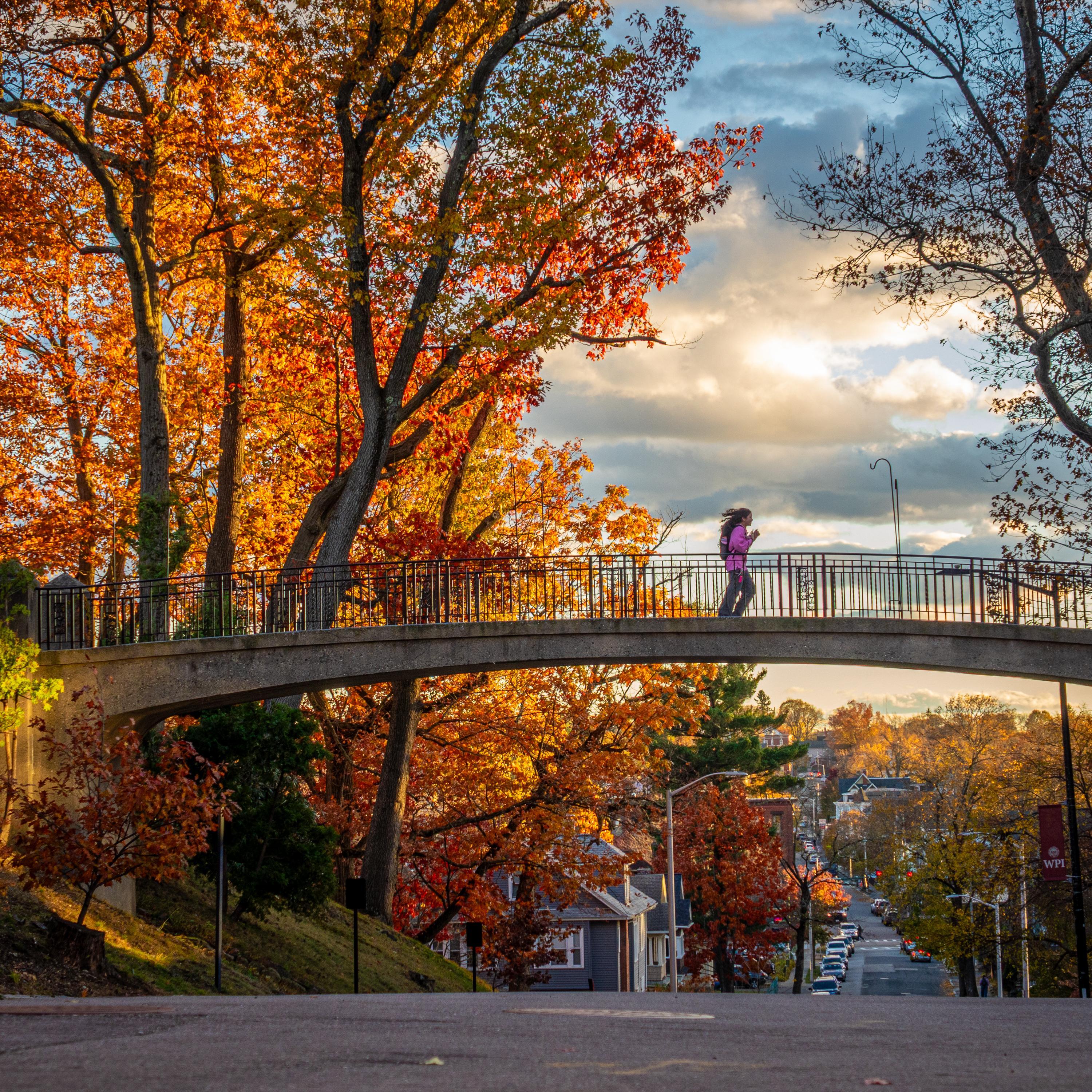 Fall campus