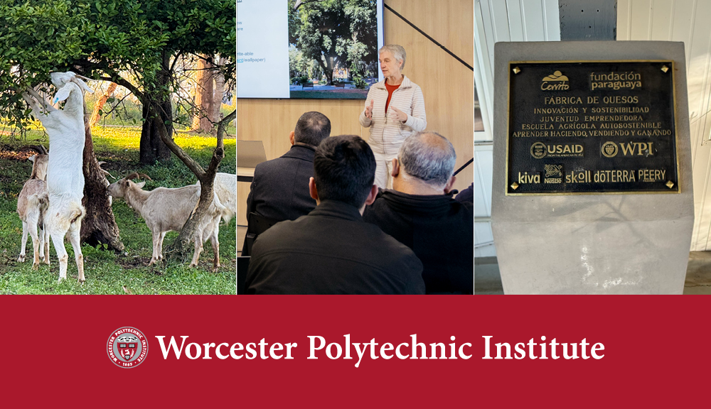grid of three images: white goat eating from a tree; woman in striped top giving a presentation; and sign for joint project with WPI and Fundacion Paraguaya