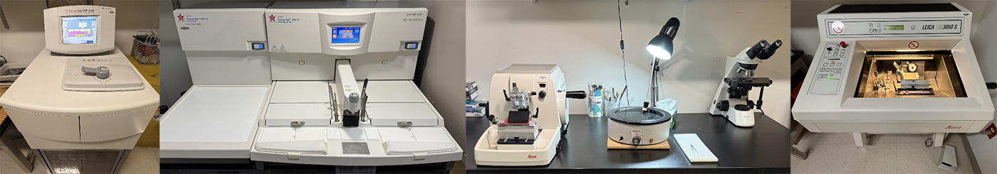 Tissue Processor, Embedding Station, Microtome, Cryostat