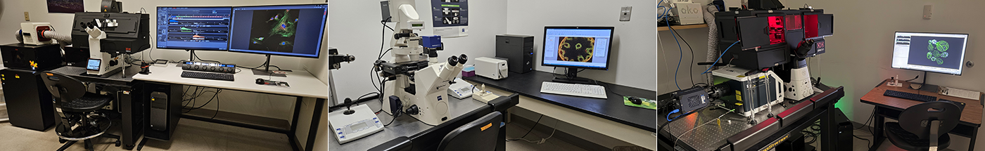 Photo of 3 microscopes