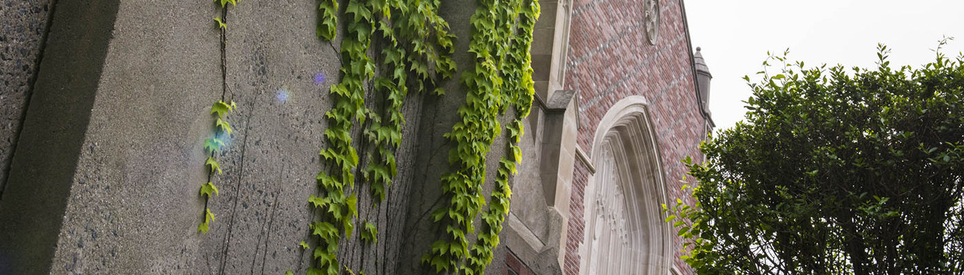 Careers Talent Offices Wpi