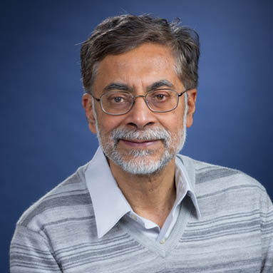 Padmanabhan K. Aravind