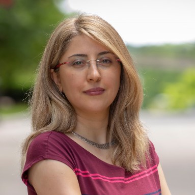 Sara Saberi Named Norton Assistant Professor | Worcester Polytechnic ...