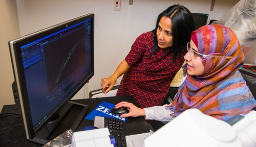 Reeta Rao, left, and Asmaa Elkabti examine an image on a computer screen