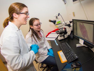 Hannah Strobel and undergraduate Paige Waligora ’20 examine a cross-section of a finished blood vessel under a microscope slide, looking at the organization and structure of the tissue.