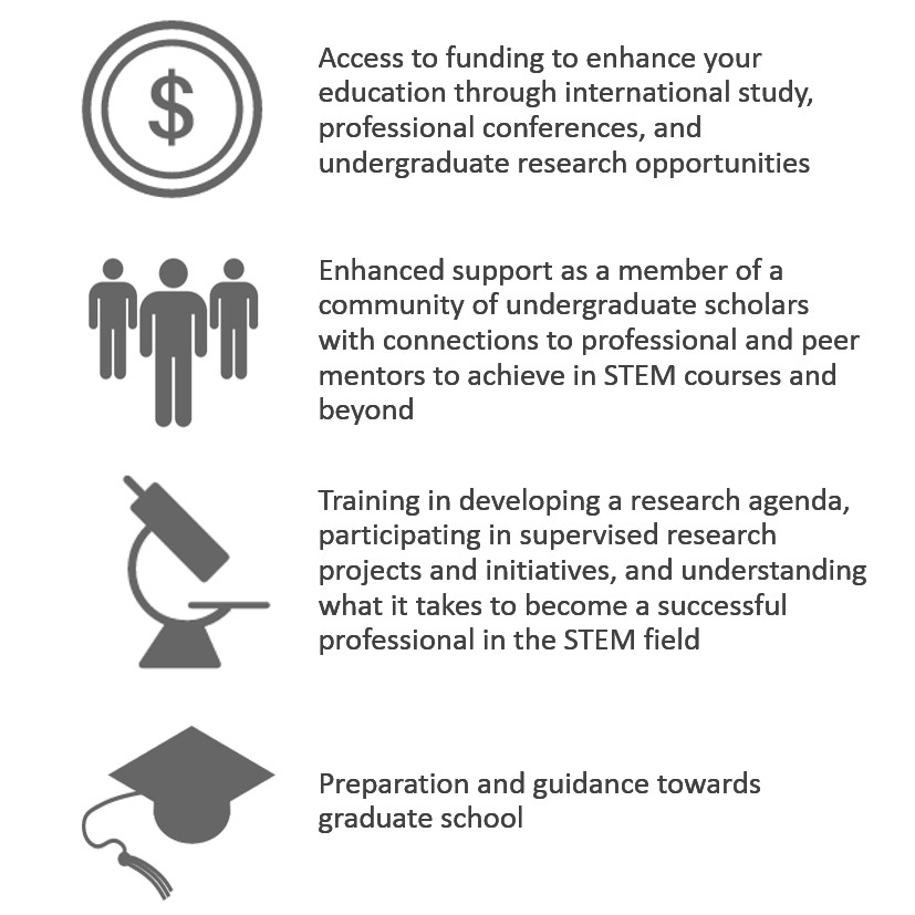Scholar Benefits Infographic