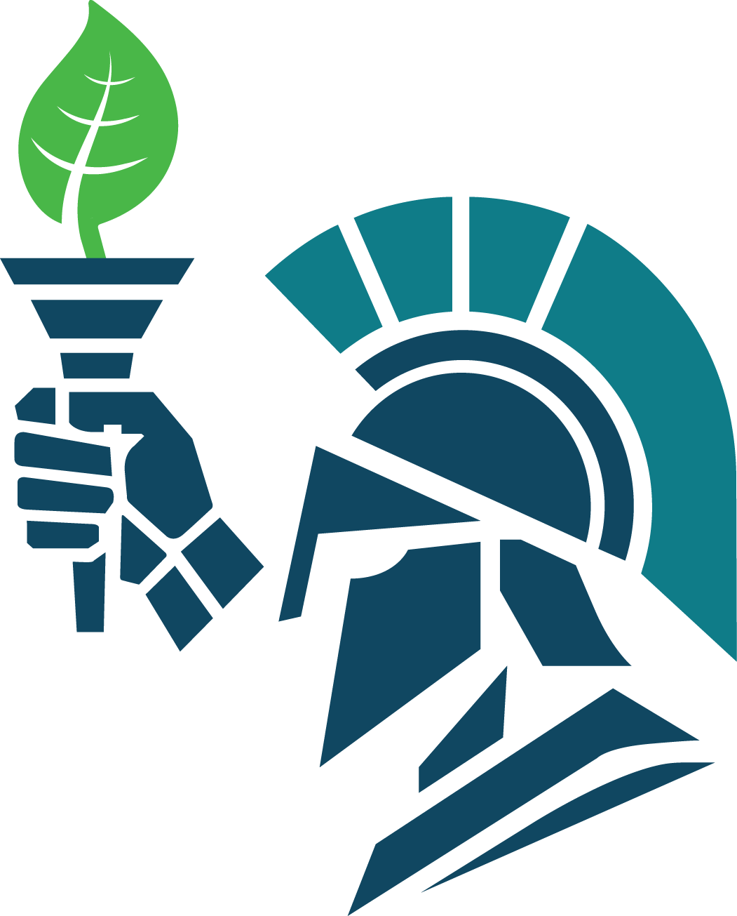 Phoebus American Energy Systems Corp. logo