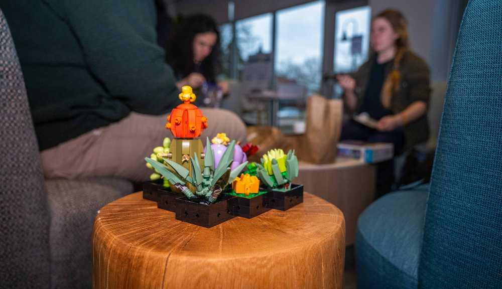 Lego flowers and succulents on display in the lobby of the Center for Well Being