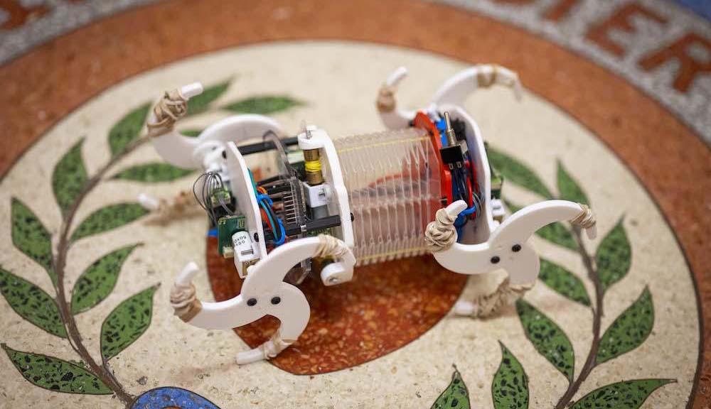 A photo of the flexible robot developed by a WPI research team that sneaks into small spaces for mapping and inspections.