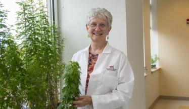Pam Weathers is standing near a window and next to Artemisia plants. They're green, and she is holding one. She has gray hair and is wearing glasses and a white lab coat over a multicolored shirt.