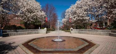WPI water fountain in the spring