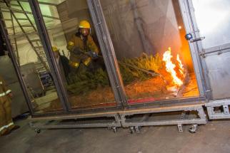 wildfire research using a wind tunnel