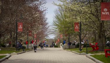 campus shot of wide walkway and spring buds on trees