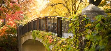 Earle Bridge on WPI campus surrounded by autumn foliage