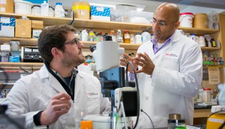 From left, Christopher Chute, a PhD candidate in biology and biotechnology, and Jagan Srinivasan discuss a recent experiment with C. elegans.