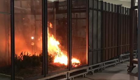 Brush in the wind tunnel at WPI's Fire Lab burns. The brush is on the left-hand side of the photo, with the rest of the wind tunnel in the background.