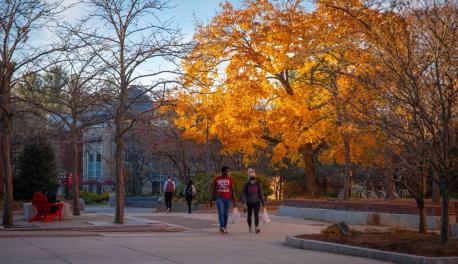 Students walk across the center of campus with a tree full of fall foliage in the background.