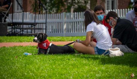 A couple of WPI students sit on the Quad with a dog wearing a WPI bandana.
