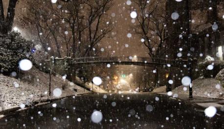 A photo of Earle Bridge at night with snow falling in focus in the foreground.