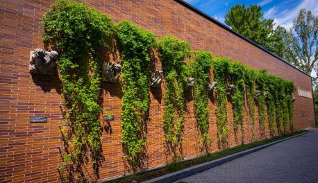 A photo of a building with ivy growing on the side