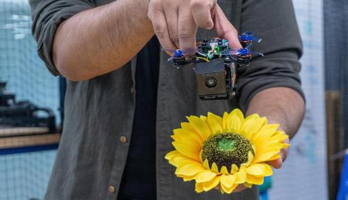 hands holding drone and sunflower