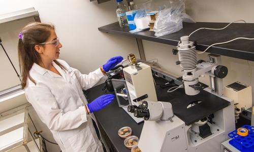 Female graduate student works with chemical engineering tools in a WPI lab