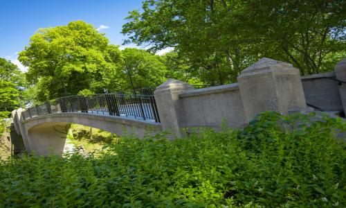 Earle Bridge with greenery
