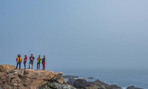 A group of students stands atop a rock formation overlooking the ocean in Acadia National Park.